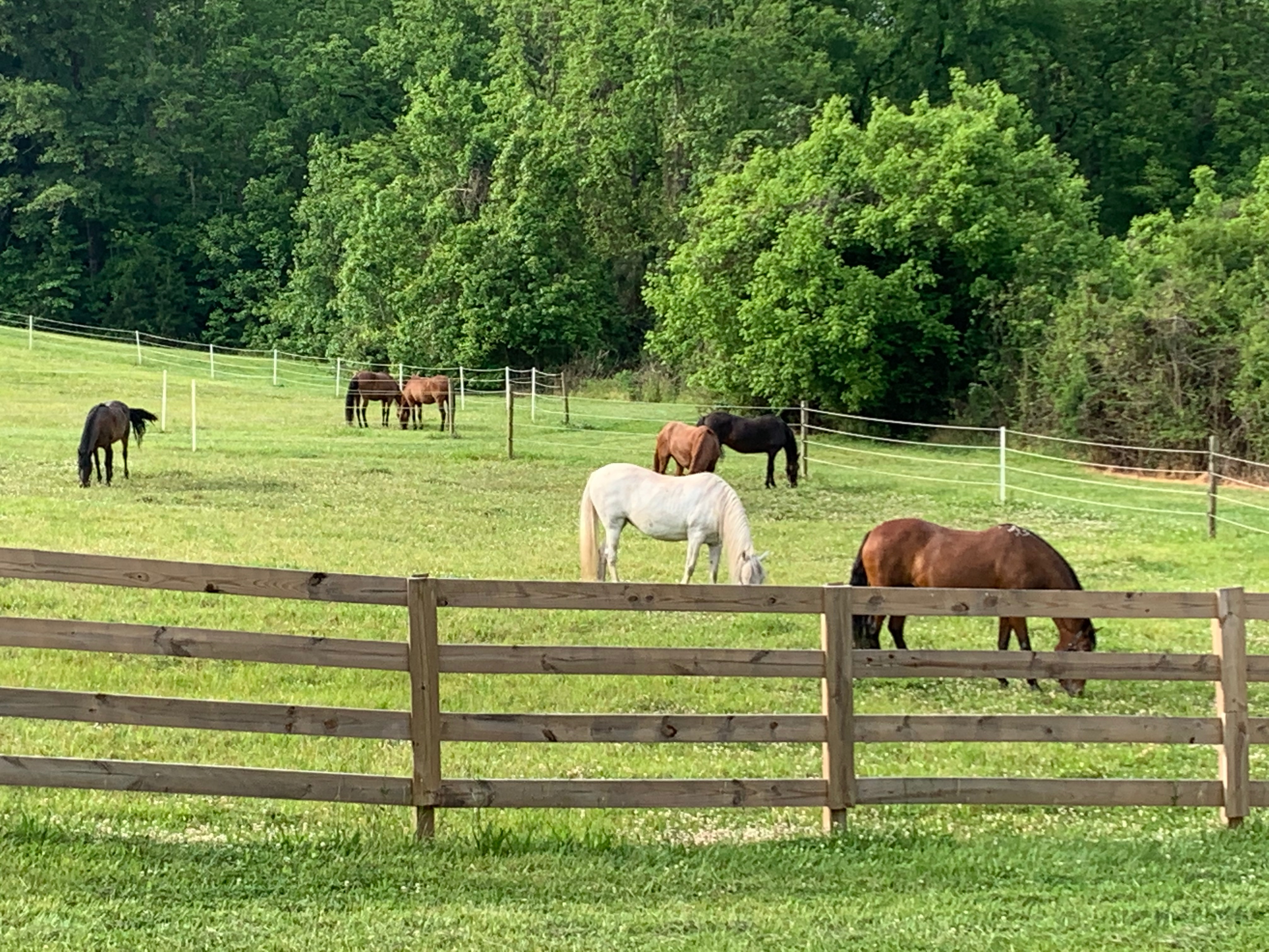 Evensong Farm